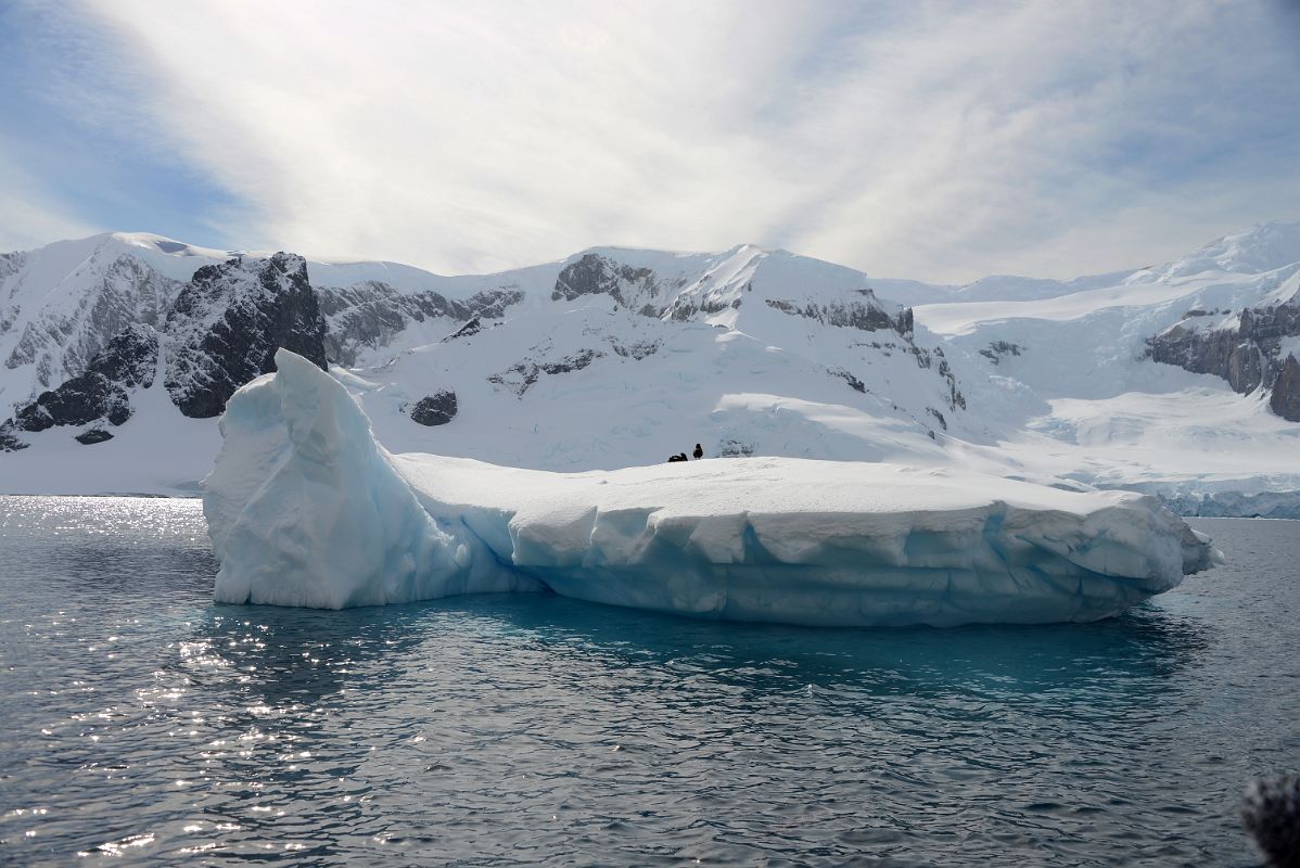 13A Two Birds Rest On An Iceberg Next To Cuverville Island From Zodiac On Quark Expeditions Antarctica Cruise